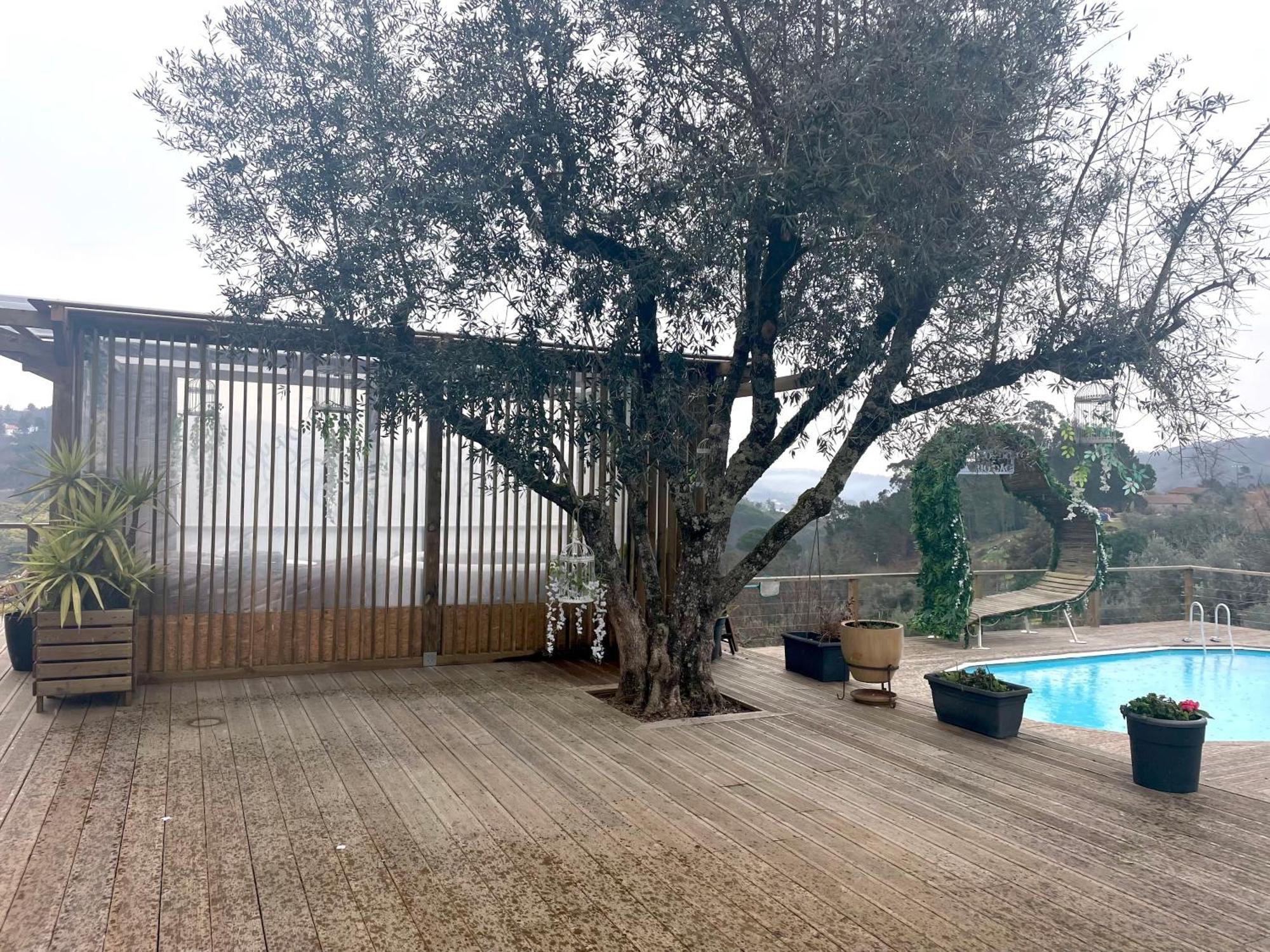Refugios Do Rio Dao Villa Mangualde Exterior photo